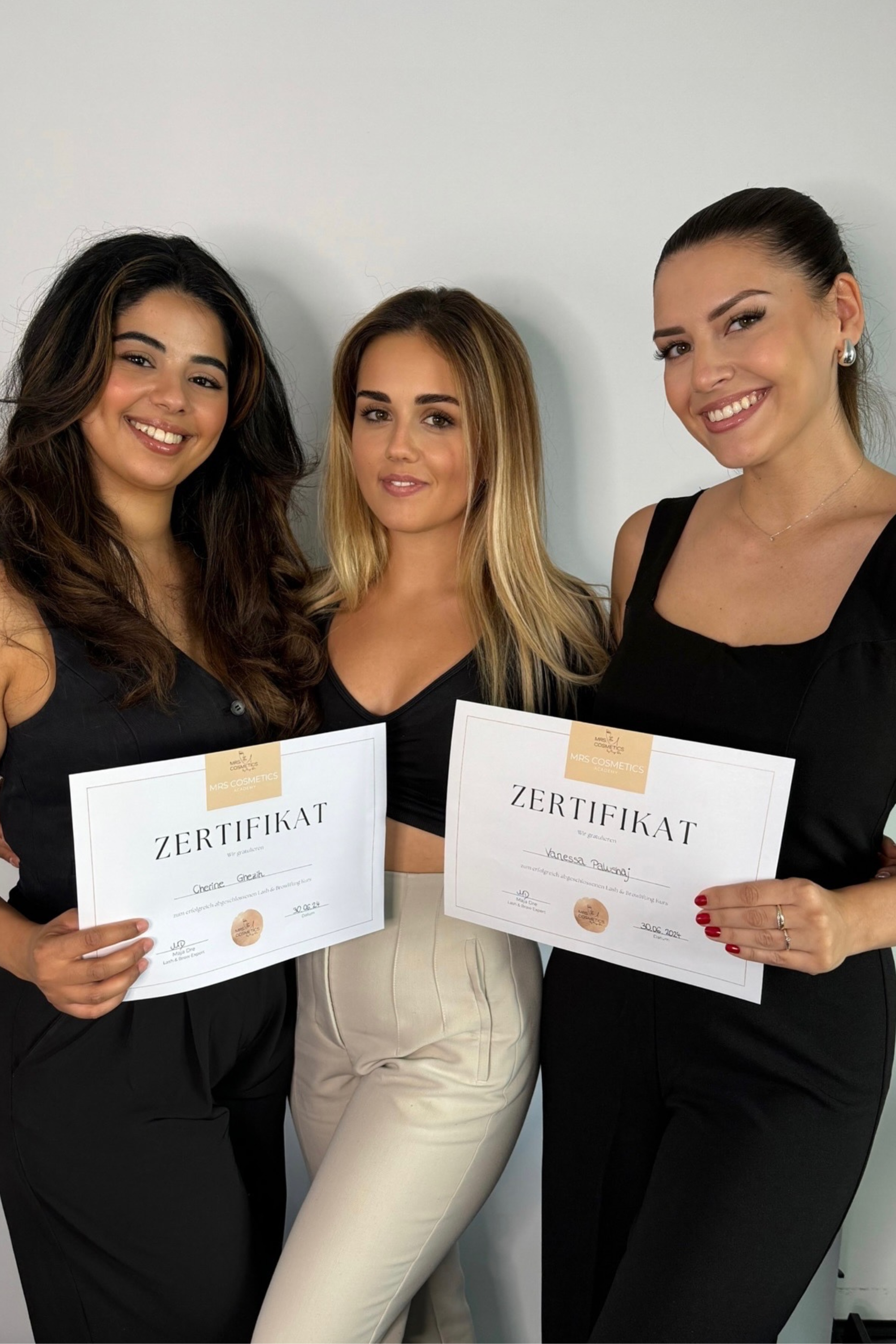 Perfektions Microblading Online Schulung - inkl. Shading BONUS