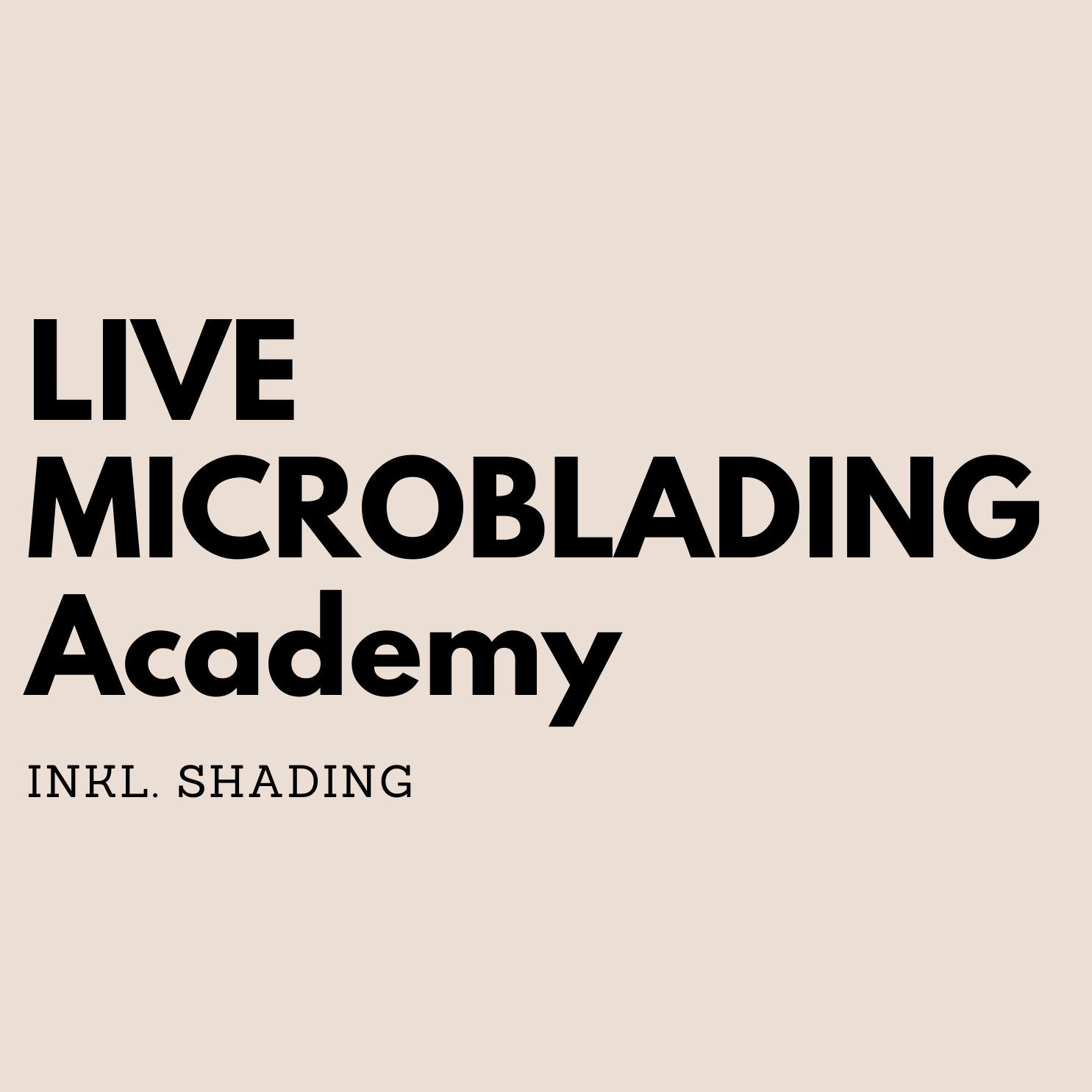 Microblading inkl. Shading Live Schulung