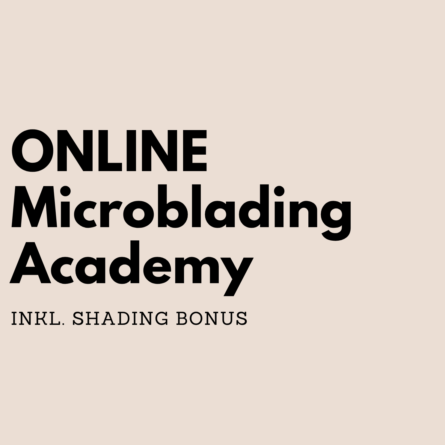 Perfektions Microblading Online Schulung - inkl. Shading BONUS