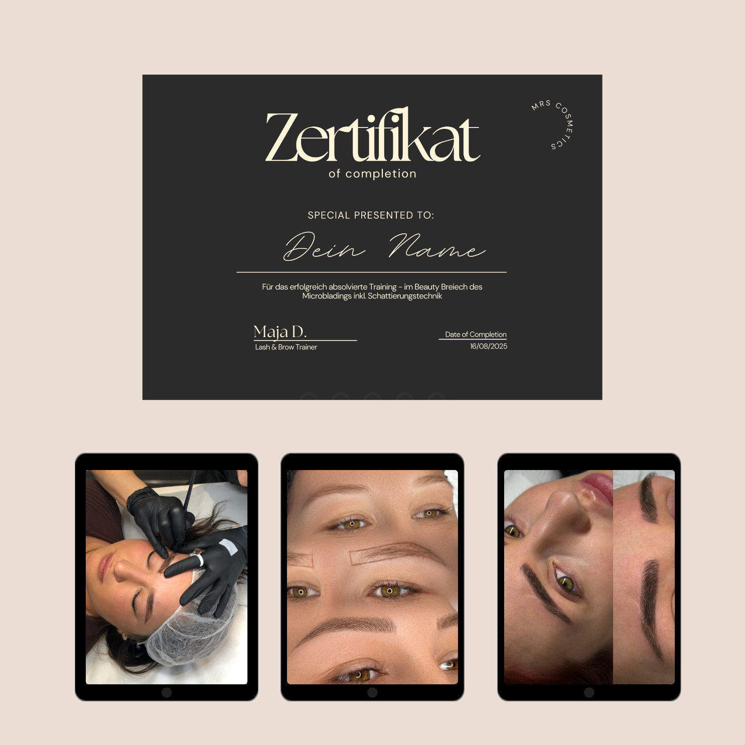 Perfektions Microblading Online Schulung - inkl. Shading BONUS
